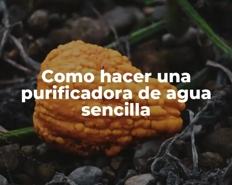Como hacer una purificadora de agua sencilla