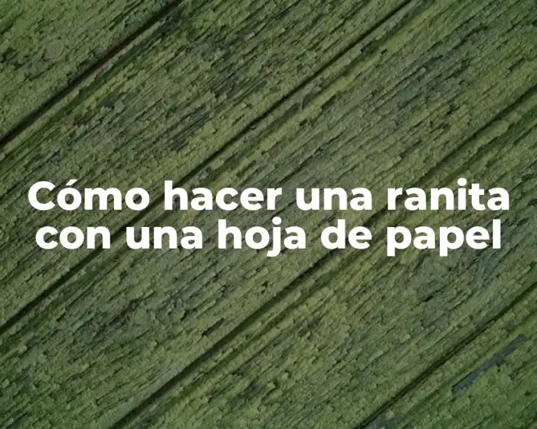 Cómo hacer una ranita con una hoja de papel