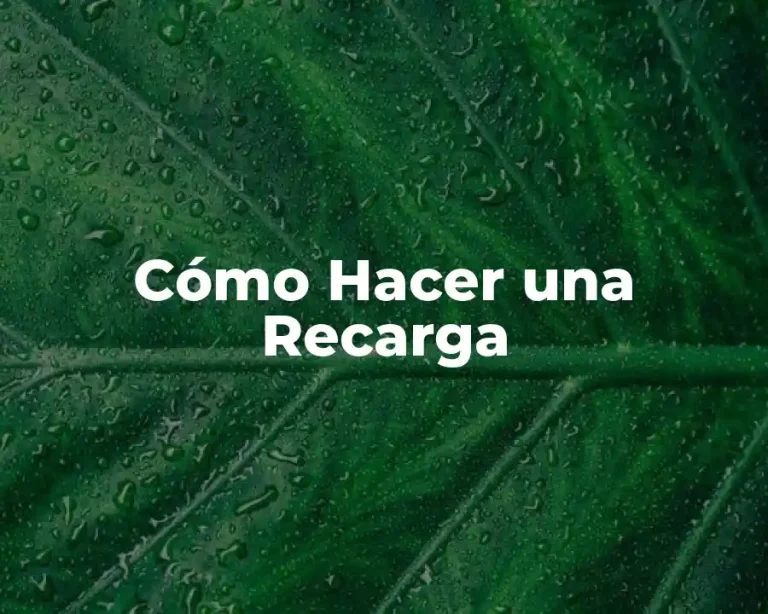 Cómo Hacer una Recarga