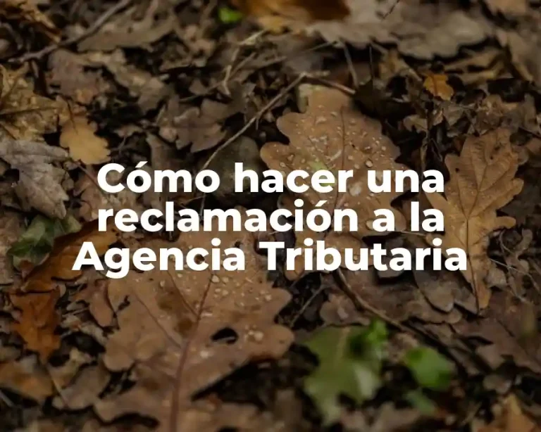 Cómo hacer una reclamación a la Agencia Tributaria