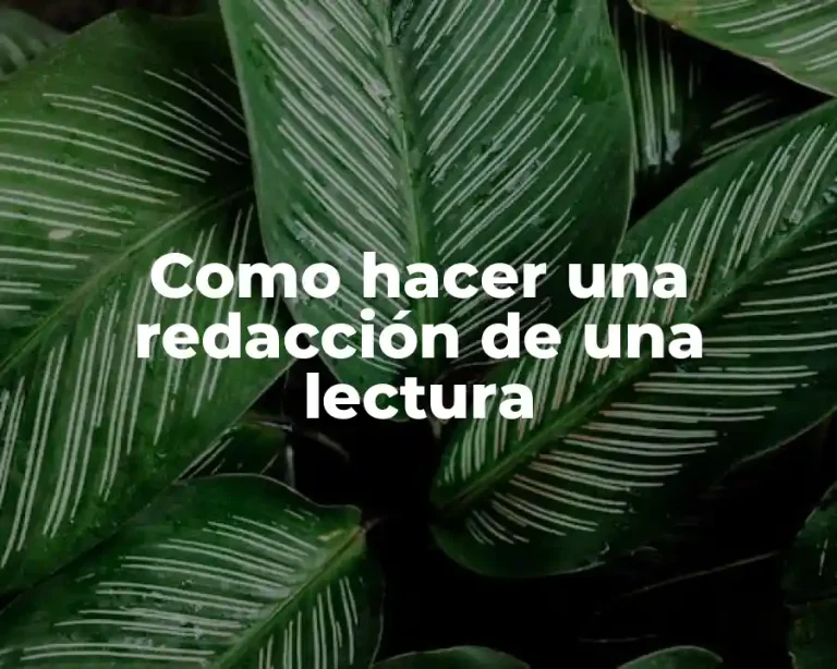 Como hacer una redacción de una lectura