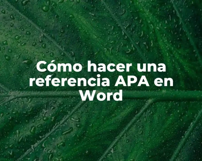 Cómo hacer una referencia APA en Word