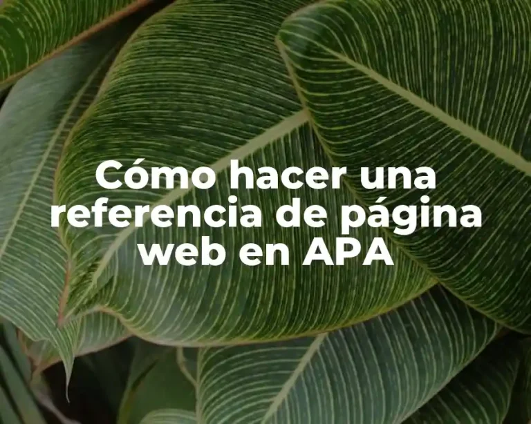 Cómo hacer una referencia de página web en APA