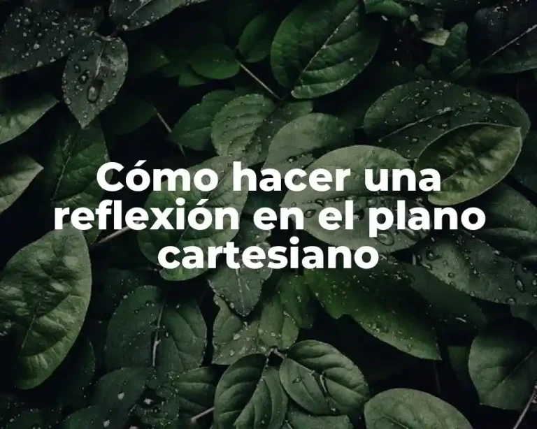 Cómo hacer una reflexión en el plano cartesiano