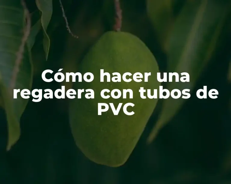 Cómo hacer una regadera con tubos de PVC