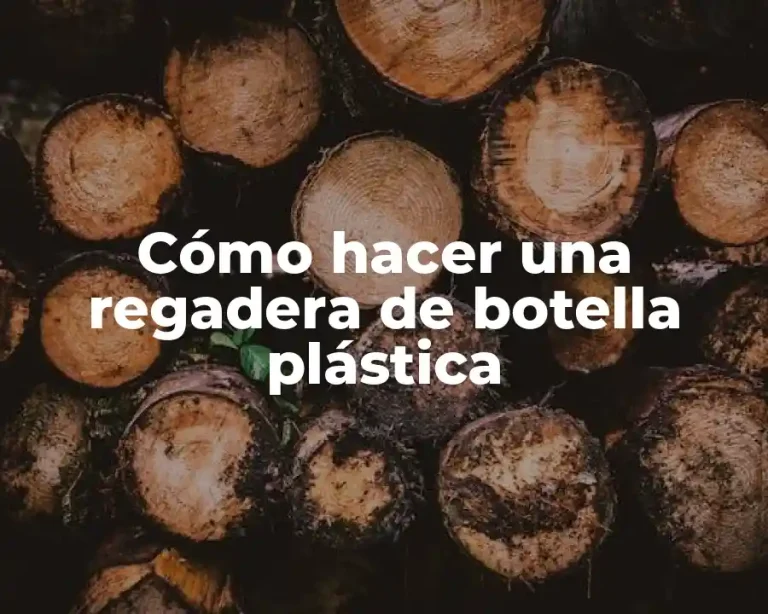 Cómo hacer una regadera de botella plástica
