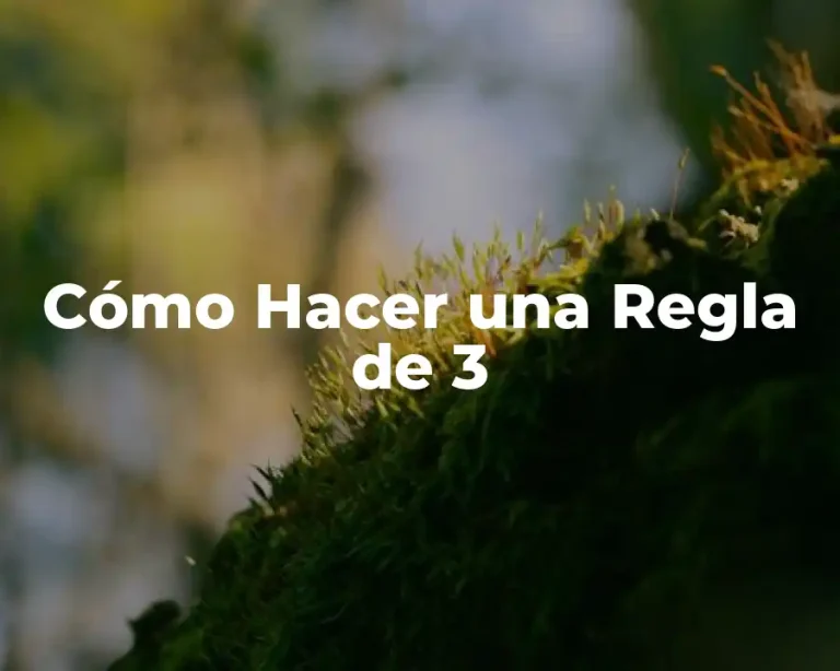 Cómo Hacer una Regla de 3