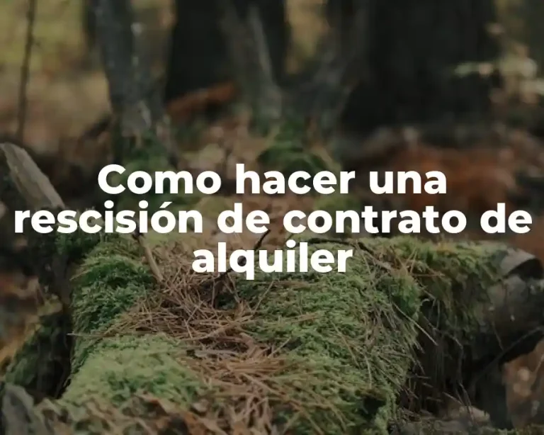 Como hacer una rescisión de contrato de alquiler