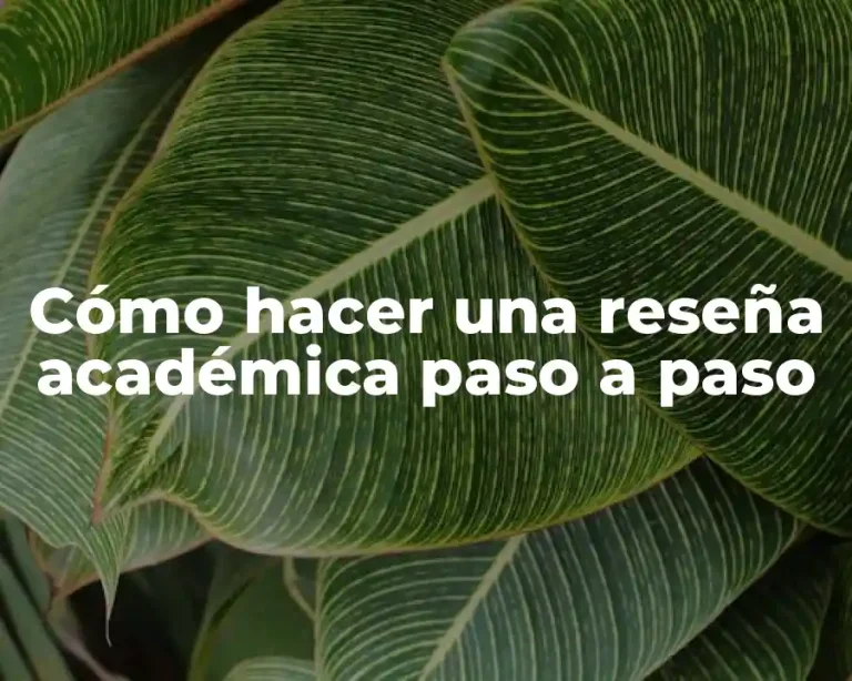 Cómo hacer una reseña académica paso a paso