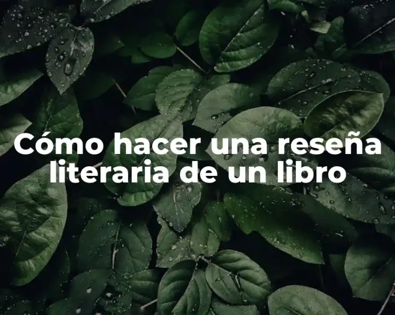 Cómo hacer una reseña literaria de un libro