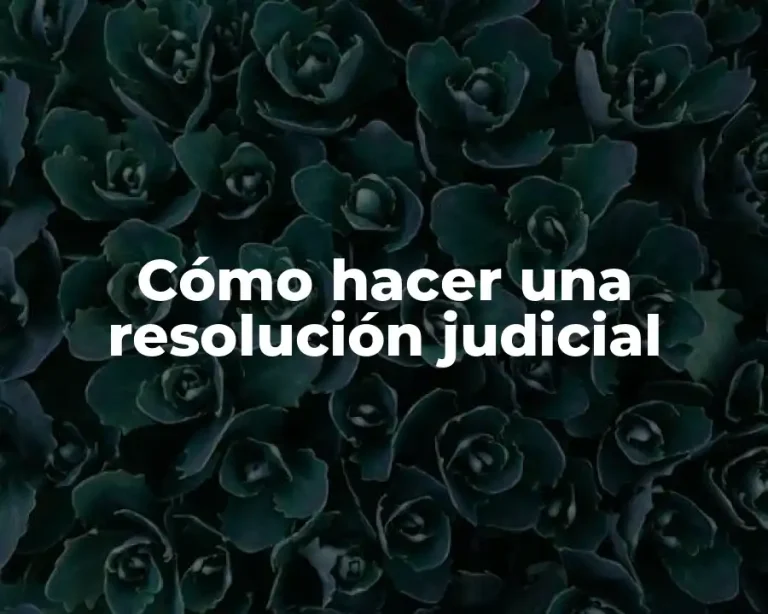 Cómo hacer una resolución judicial