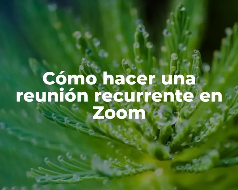 Cómo hacer una reunión recurrente en Zoom