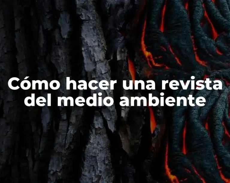 Cómo hacer una revista del medio ambiente
