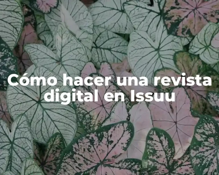 Cómo hacer una revista digital en Issuu