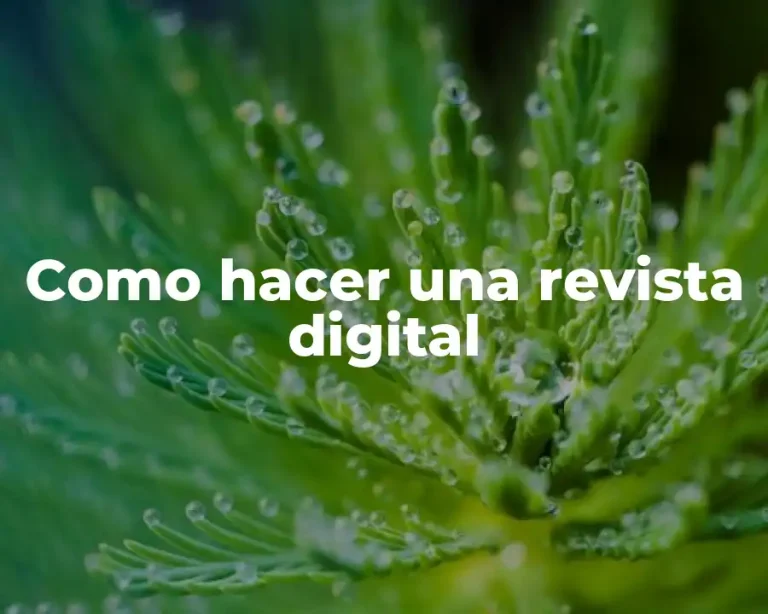Como hacer una revista digital