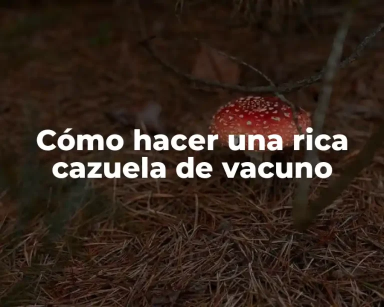 Cómo hacer una rica cazuela de vacuno