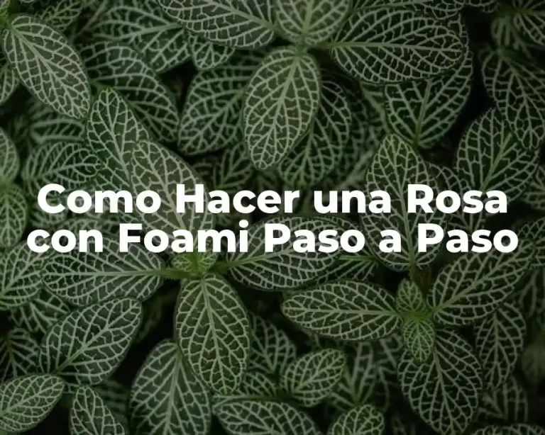 Como Hacer una Rosa con Foami Paso a Paso