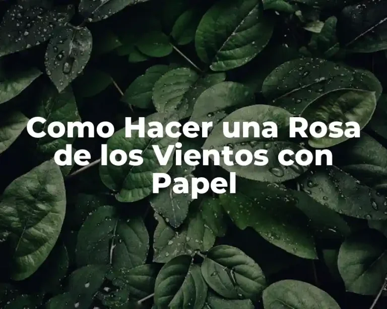 Como Hacer una Rosa de los Vientos con Papel