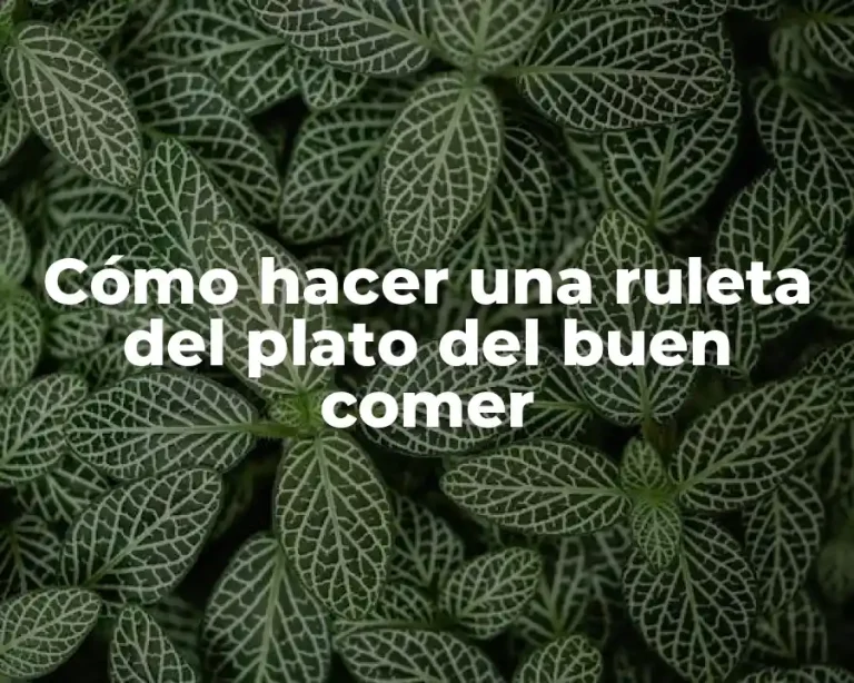 Cómo hacer una ruleta del plato del buen comer