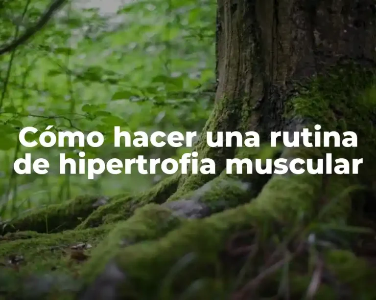 Cómo hacer una rutina de hipertrofia muscular