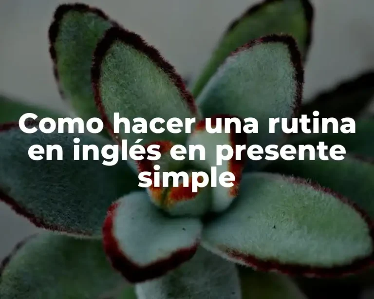 Como hacer una rutina en inglés en presente simple
