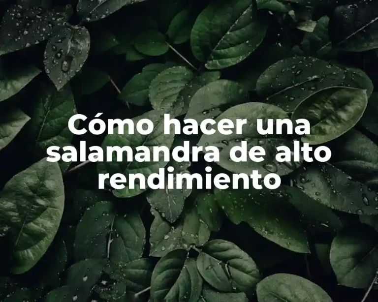 Cómo hacer una salamandra de alto rendimiento