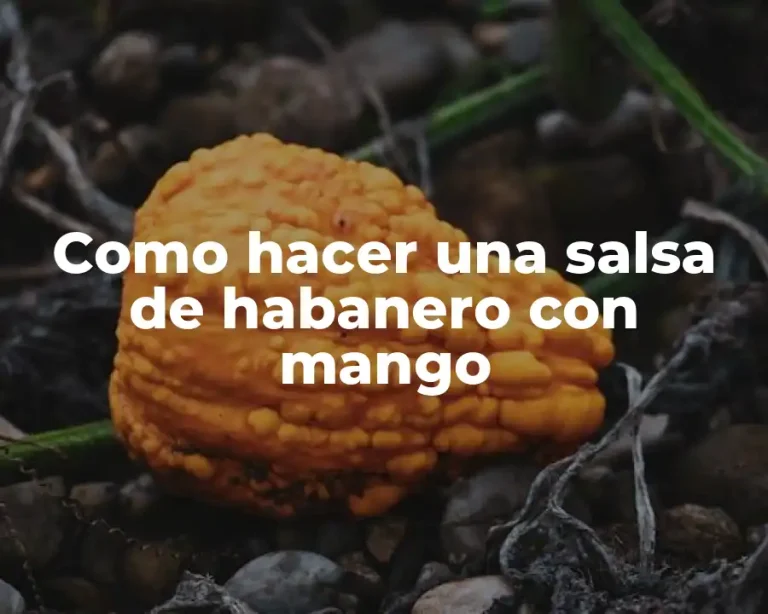 Como hacer una salsa de habanero con mango