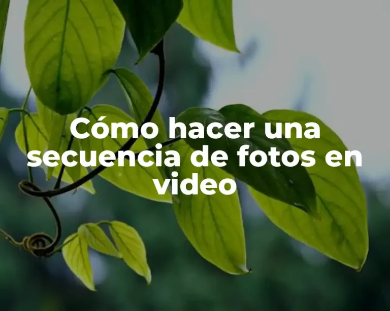 Cómo hacer una secuencia de fotos en video