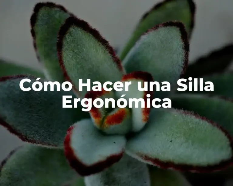 Cómo Hacer una Silla Ergonómica