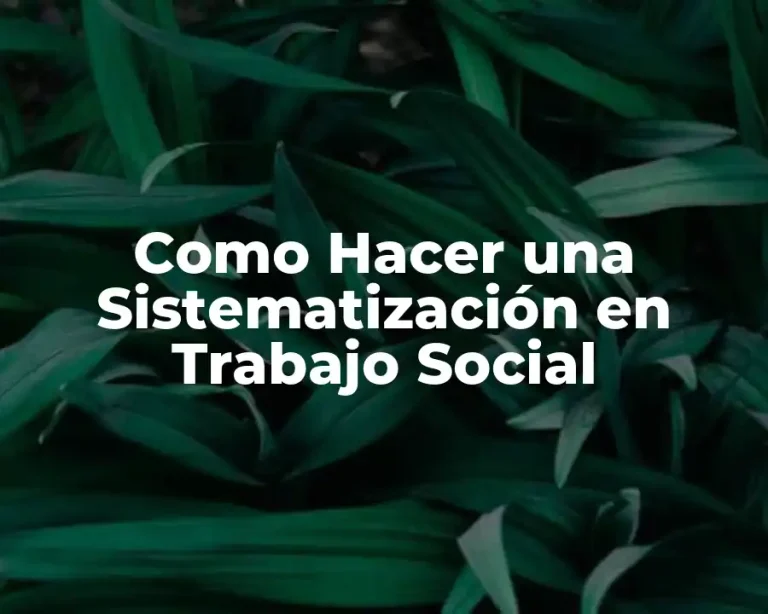 Como Hacer una Sistematización en Trabajo Social