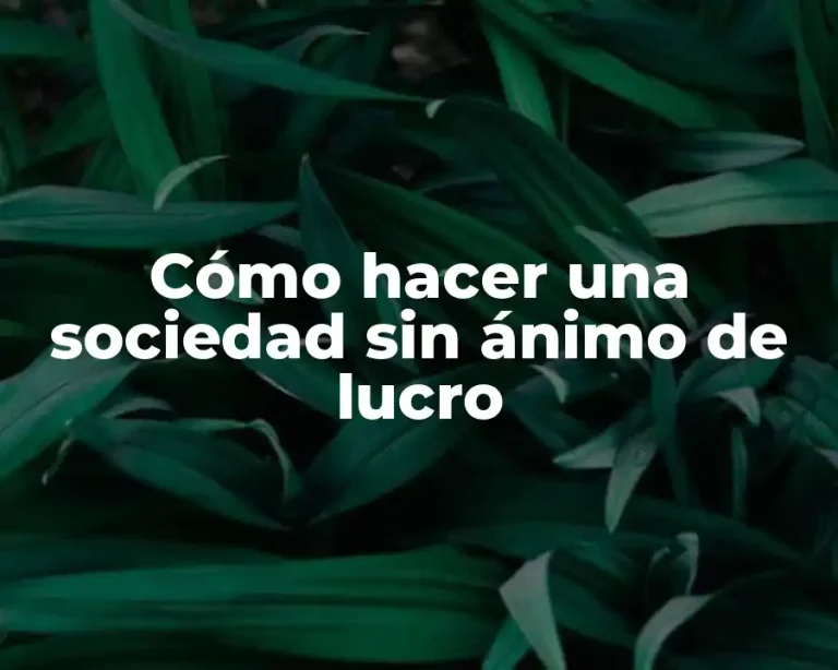 Cómo hacer una sociedad sin ánimo de lucro