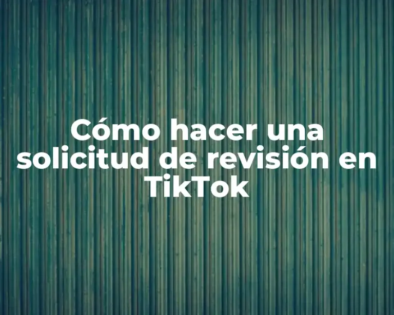 Cómo hacer una solicitud de revisión en TikTok