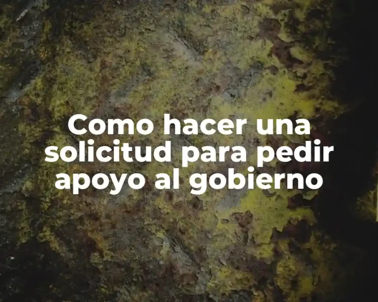 Como hacer una solicitud para pedir apoyo al gobierno