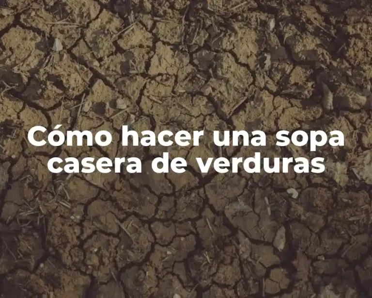 Cómo hacer una sopa casera de verduras