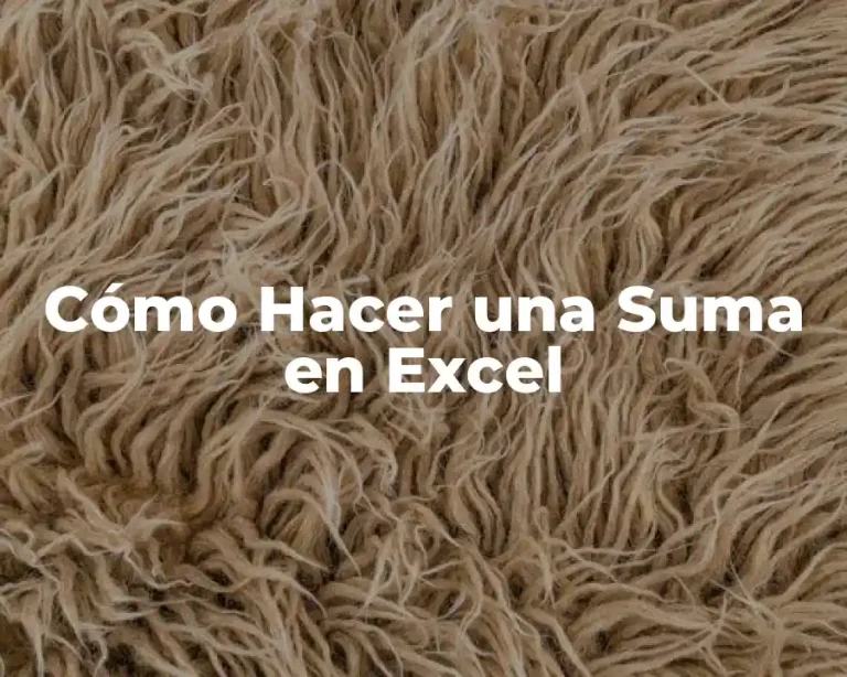 Cómo Hacer una Suma en Excel