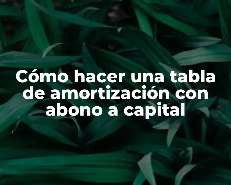 Cómo hacer una tabla de amortización con abono a capital