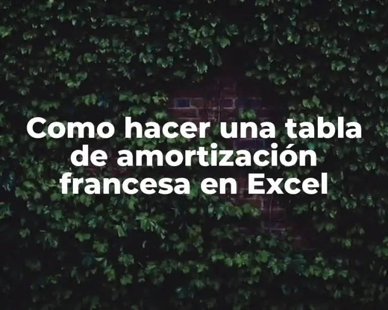 Como hacer una tabla de amortización francesa en Excel
