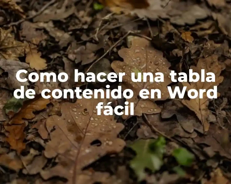Como hacer una tabla de contenido en Word fácil