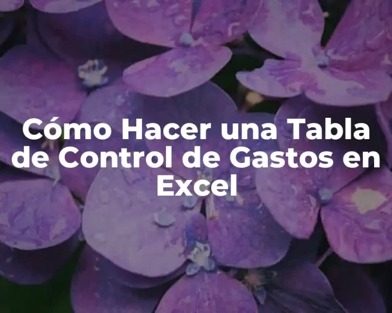 Cómo Hacer una Tabla de Control de Gastos en Excel