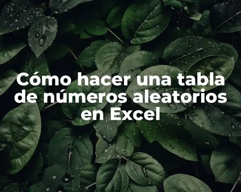 Cómo hacer una tabla de números aleatorios en Excel