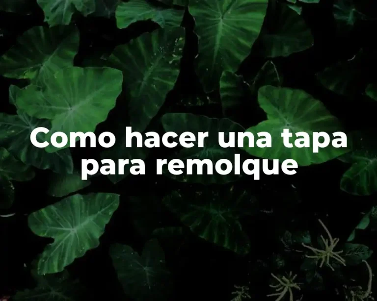 Como hacer una tapa para remolque