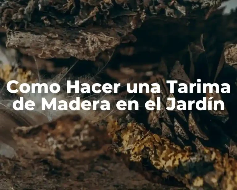 Como Hacer una Tarima de Madera en el Jardín