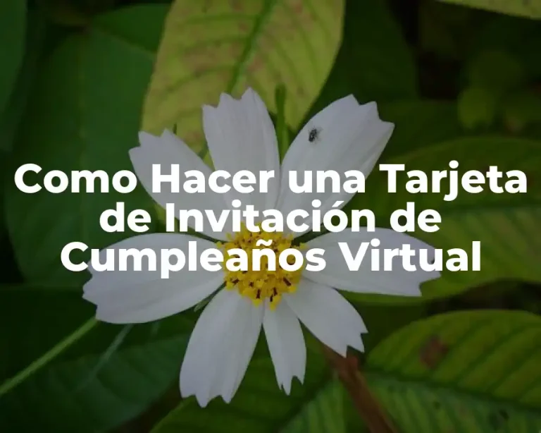 Como Hacer una Tarjeta de Invitación de Cumpleaños Virtual