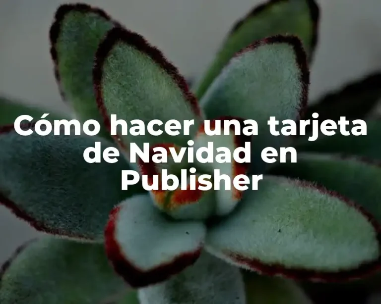Cómo hacer una tarjeta de Navidad en Publisher