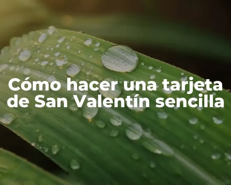 Cómo hacer una tarjeta de San Valentín sencilla