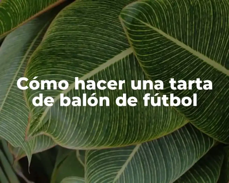 Cómo hacer una tarta de balón de fútbol