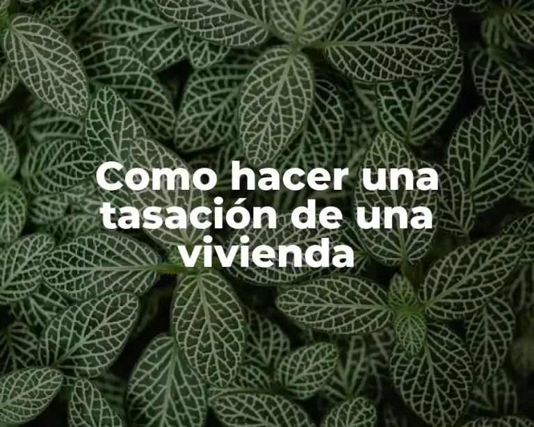 Como hacer una tasación de una vivienda