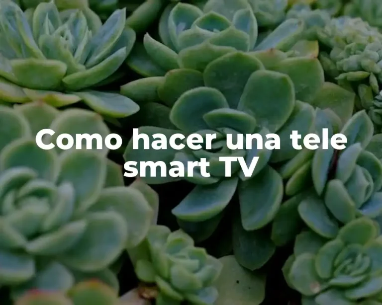 Como hacer una tele smart TV