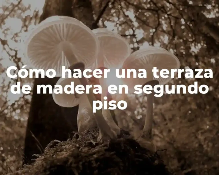 Cómo hacer una terraza de madera en segundo piso