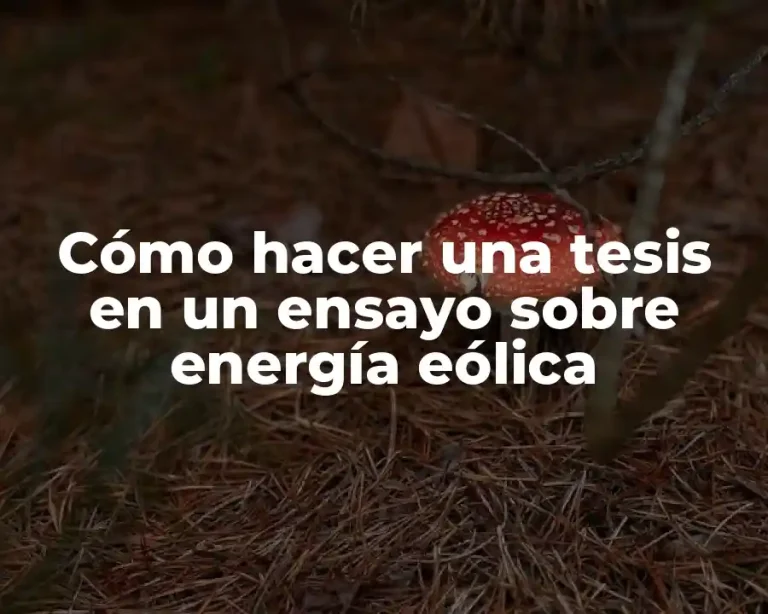 Cómo hacer una tesis en un ensayo sobre energía eólica